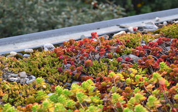 the cost of Hints green roof installation