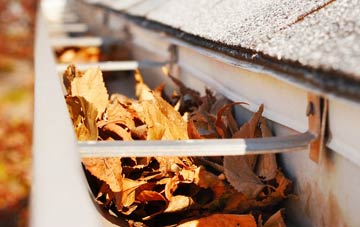 Hints gutter cleaning companies