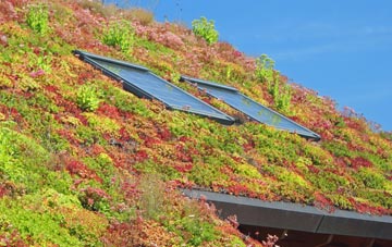 Hints living roof systems