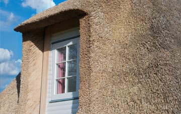 Hints thatch roof disadvantages